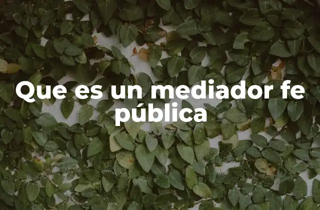 Que es un Mediador Fe Pública