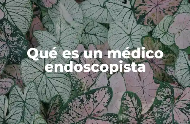 Qué es un Médico Endoscopista