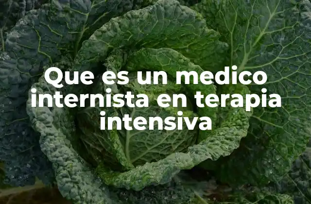 Que es un Medico Internista en Terapia Intensiva