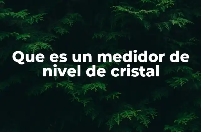 Que es un Medidor de Nivel de Cristal
