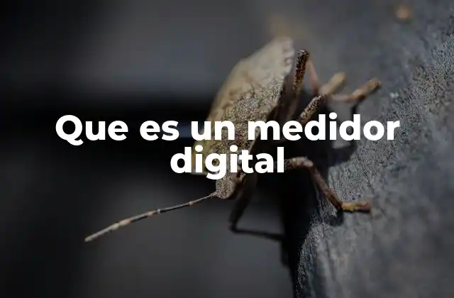 Que es un Medidor Digital