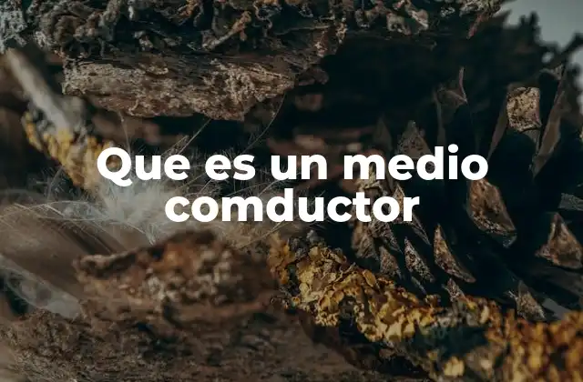 Que es un Medio Comductor
