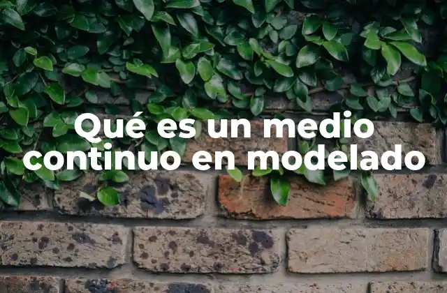 Qué es un Medio Continuo en Modelado