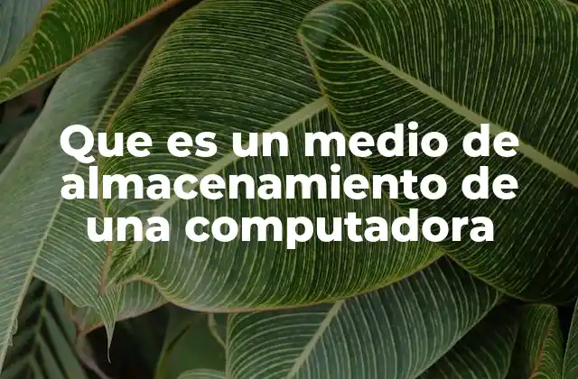 Que es un Medio de Almacenamiento de una Computadora