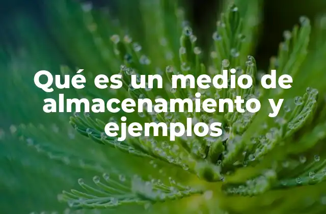 Qué es un Medio de Almacenamiento y Ejemplos