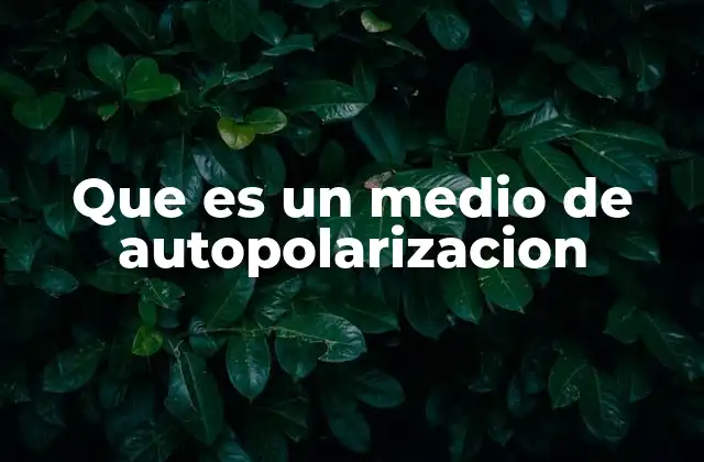 Que es un Medio de Autopolarizacion