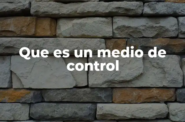 Que es un Medio de Control