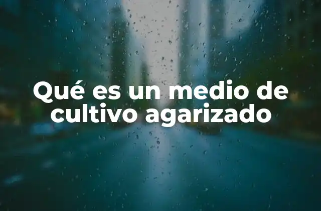 Qué es un Medio de Cultivo Agarizado