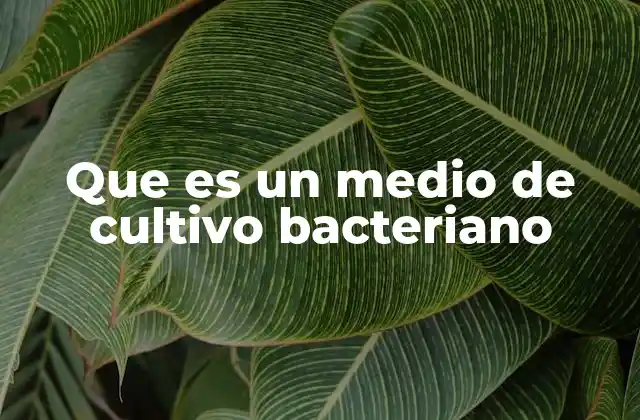 Que es un Medio de Cultivo Bacteriano