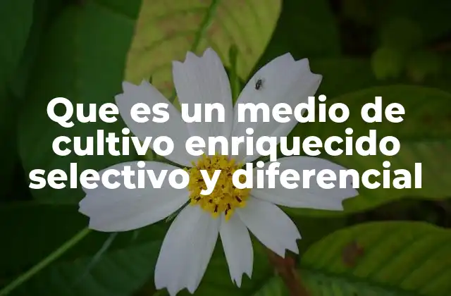 Que es un Medio de Cultivo Enriquecido Selectivo y Diferencial