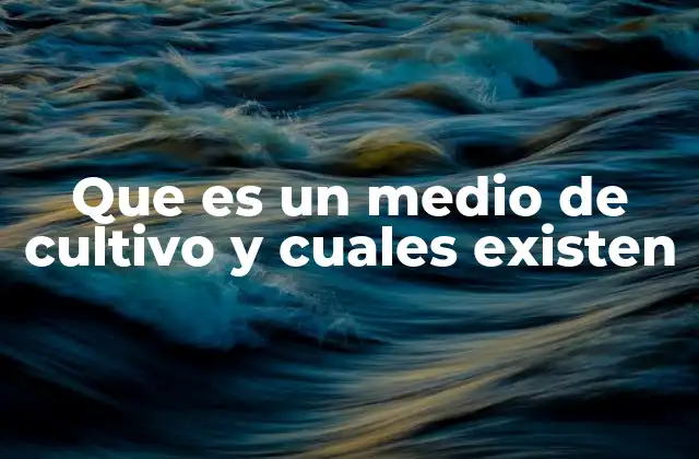 Que es un Medio de Cultivo y Cuales Existen 2 Cómo funcionan los medios de cultivo