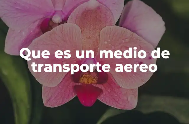 Que es un Medio de Transporte Aereo