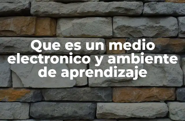 Que es un Medio Electronico y Ambiente de Aprendizaje