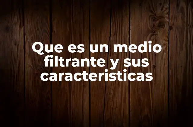 Que es un Medio Filtrante y Sus Caracteristicas