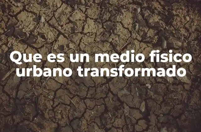 Que es un Medio Fisico Urbano Transformado