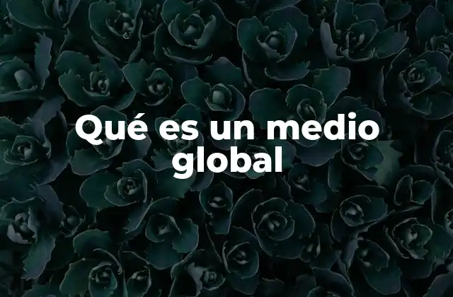 Qué es un Medio Global