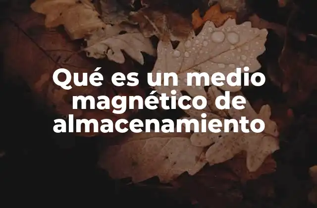 La evolución del almacenamiento magnético