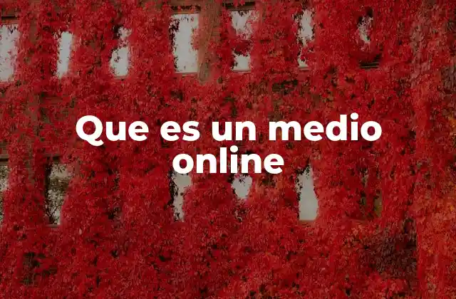 Que es un Medio Online