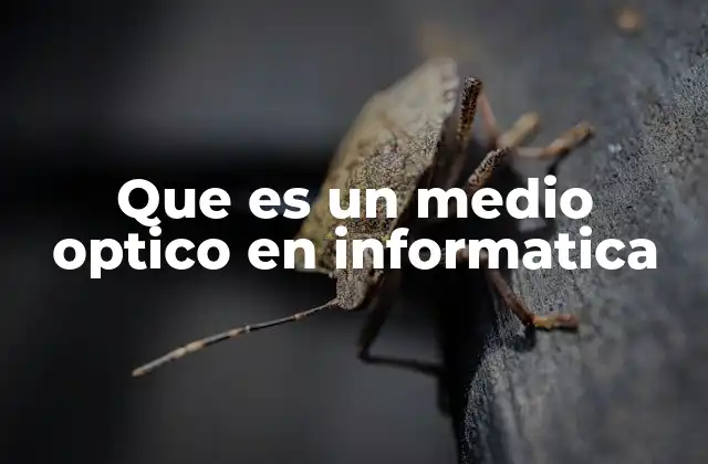 Que es un Medio Optico en Informatica