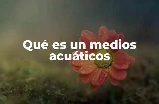 Qué es un Medios Acuáticos