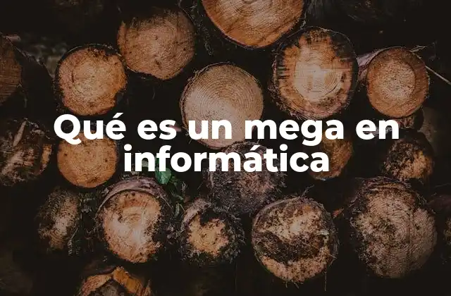 La importancia del mega en el almacenamiento digital