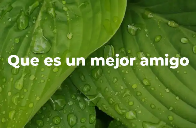 Que es un Mejor Amigo