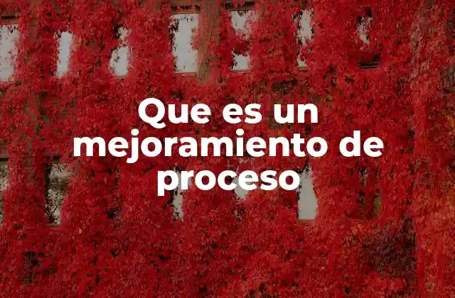 Que es un Mejoramiento de Proceso
