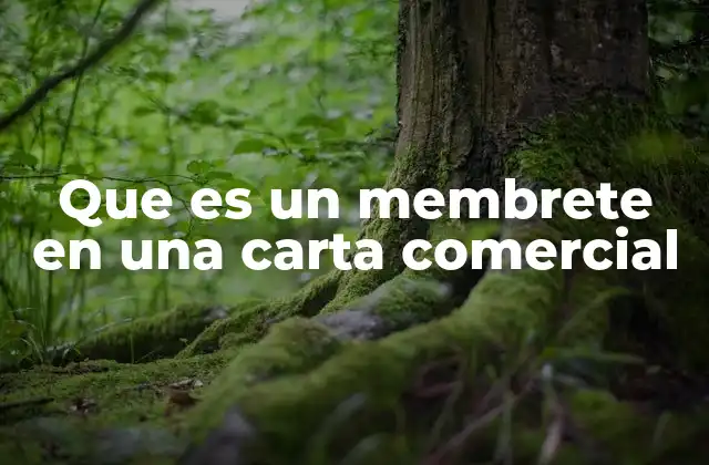 Que es un Membrete en una Carta Comercial