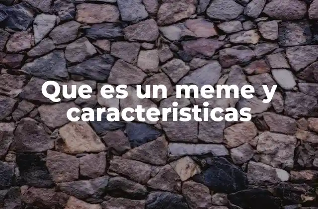 Que es un Meme y Caracteristicas