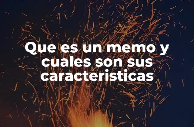 Que es un Memo y Cuales Son Sus Caracteristicas