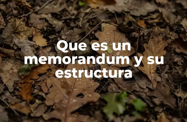 Que es un Memorandum y Su Estructura