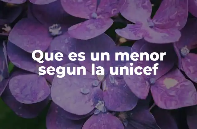 Que es un Menor Segun la Unicef