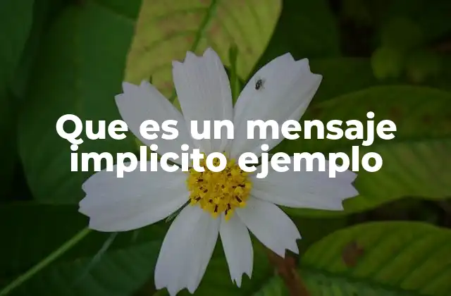 Que es un Mensaje Implicito Ejemplo