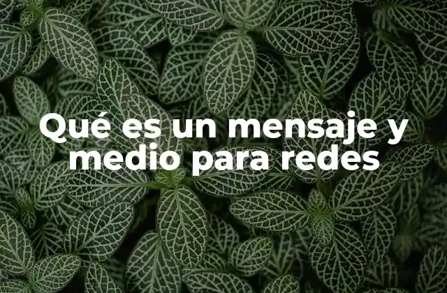 Qué es un Mensaje y Medio para Redes