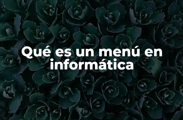 Qué es un Menú en Informática