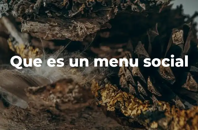 Que es un Menu Social