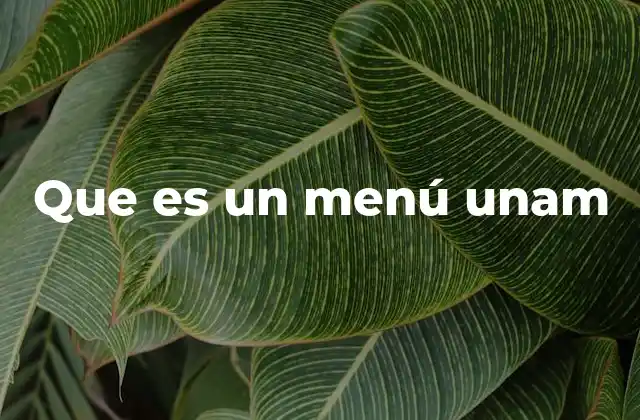 Que es un Menú Unam