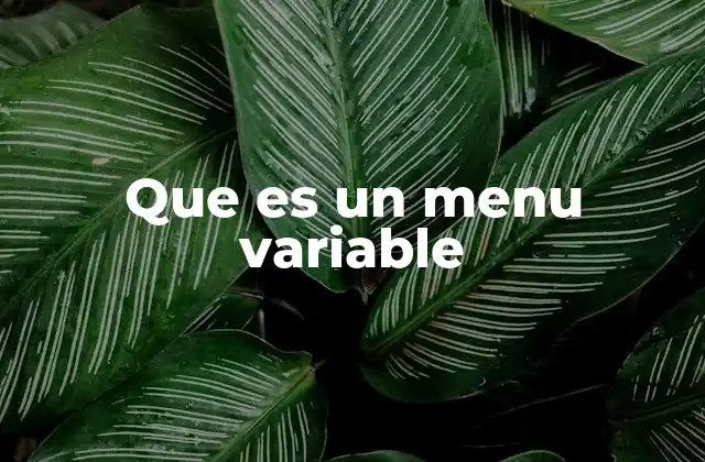Que es un Menu Variable