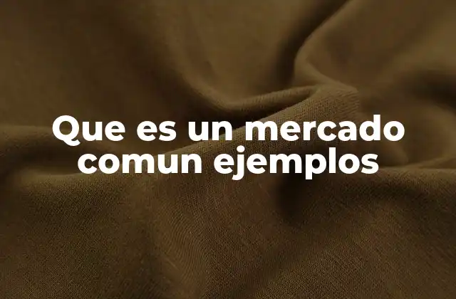 Que es un Mercado Comun Ejemplos