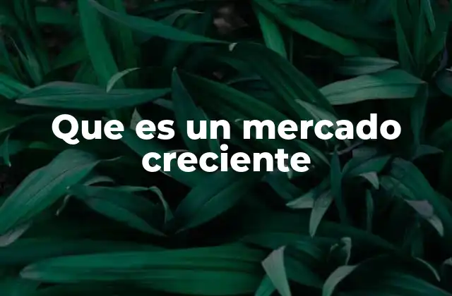 Que es un Mercado Creciente