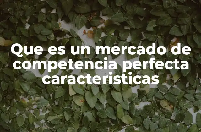 Que es un Mercado de Competencia Perfecta Caracteristicas