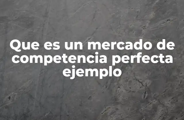 Que es un Mercado de Competencia Perfecta Ejemplo 2 Características del mercado de competencia perfecta