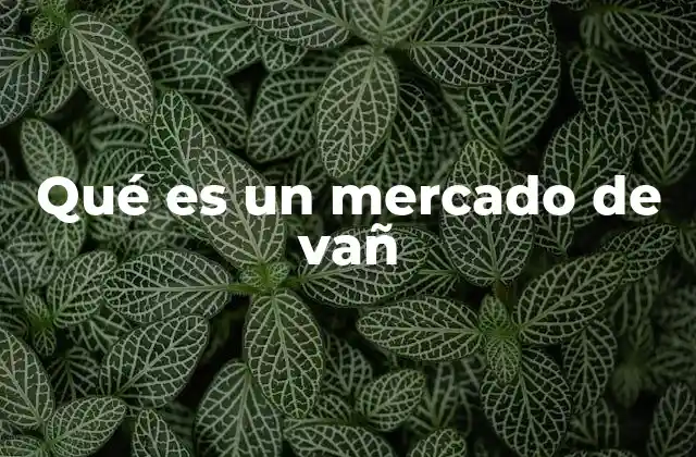 Qué es un Mercado de Vañ