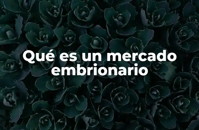 Qué es un Mercado Embrionario