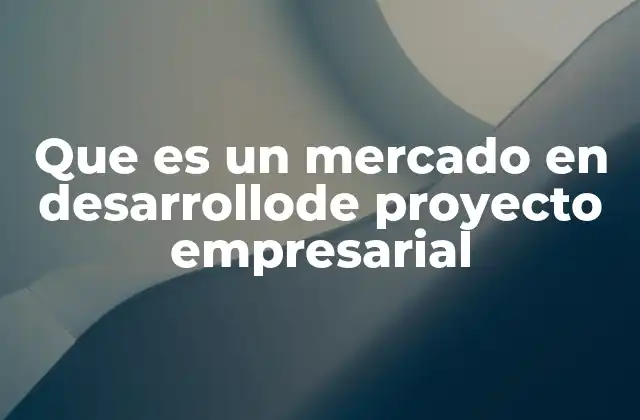 Que es un Mercado en Desarrollode Proyecto Empresarial