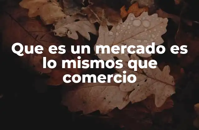 Que es un Mercado es Lo Mismos que Comercio 2 El comercio como actividad económica y el mercado como su escenario
