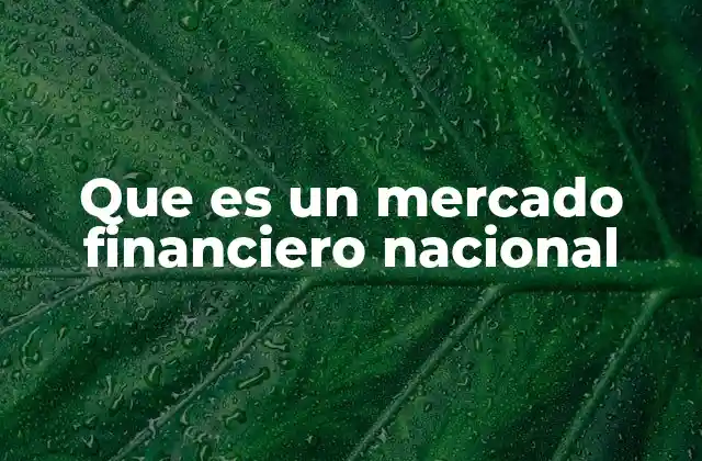 Que es un Mercado Financiero Nacional
