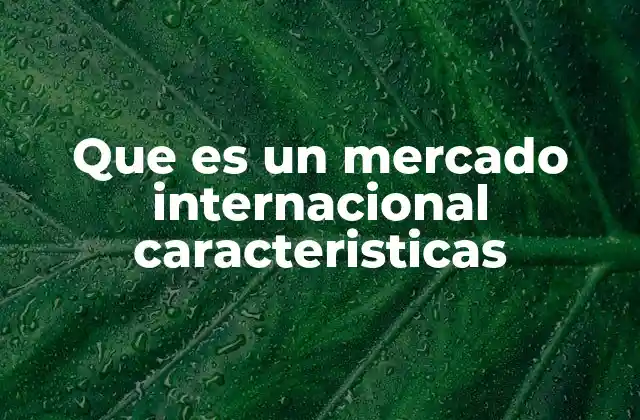 Que es un Mercado Internacional Caracteristicas