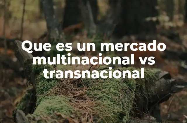 Que es un Mercado Multinacional Vs Transnacional