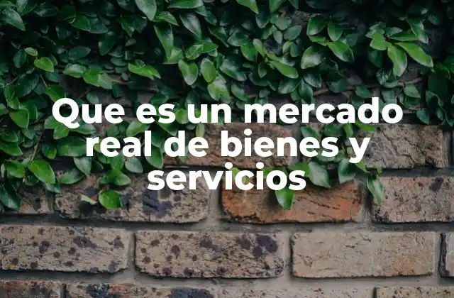 Que es un Mercado Real de Bienes y Servicios